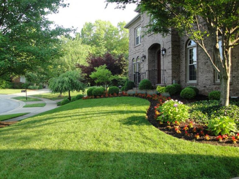 3 REASONS TO HIRE A PROFESSIONAL LANDSCAPE DESIGNER BEFORE ANY LANDSCAPING PROJECT