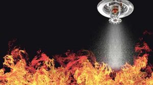 Important Things To Know About Professional Fire Sprinkler System Inspection