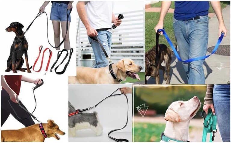 Walking Two Dogs Made Easy Tips for Using a Double Dog Leash